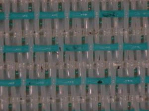 Бесконечная одежда для бумагоделательной машины из полиэстера для формирования бумаги